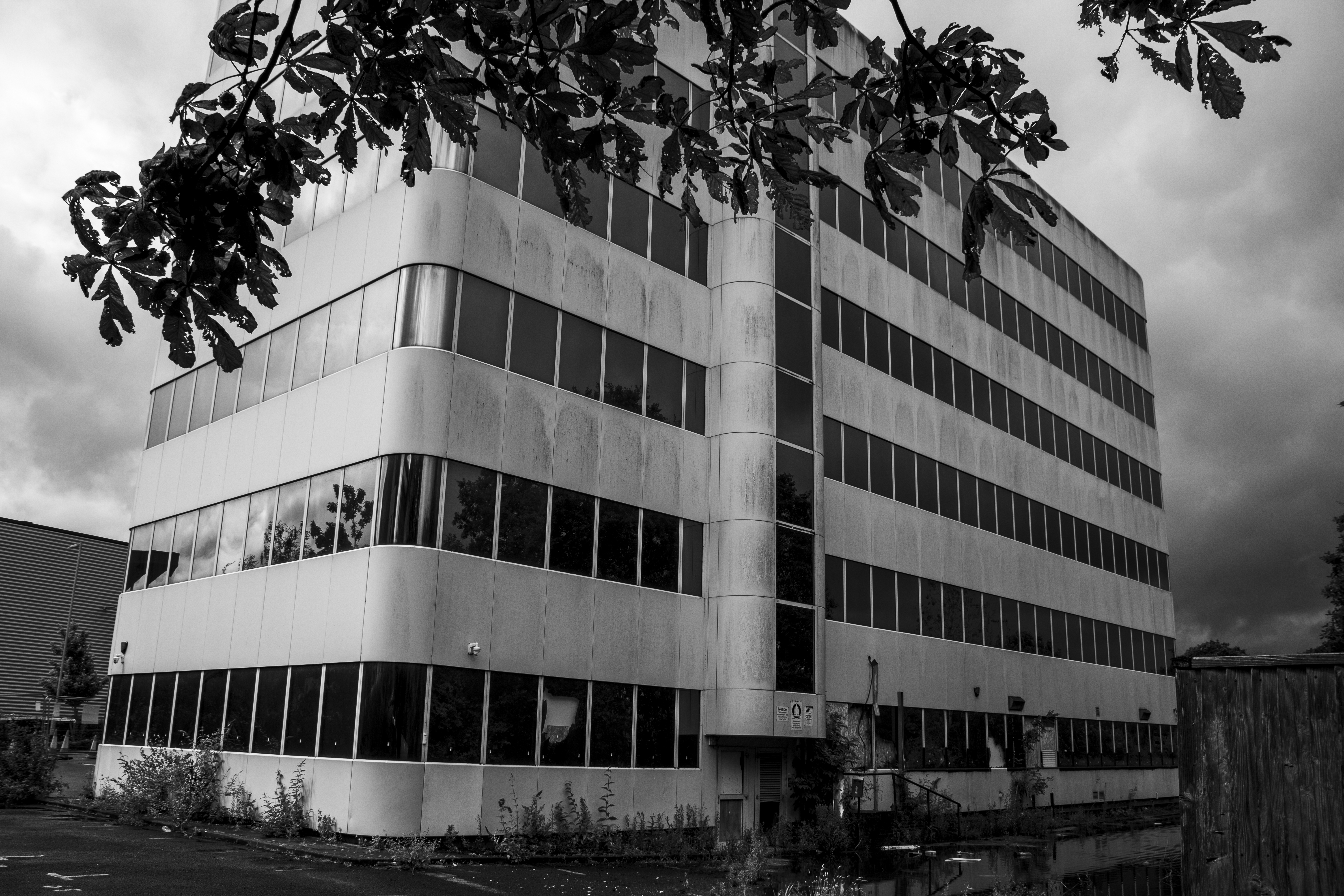 Building framed by trees