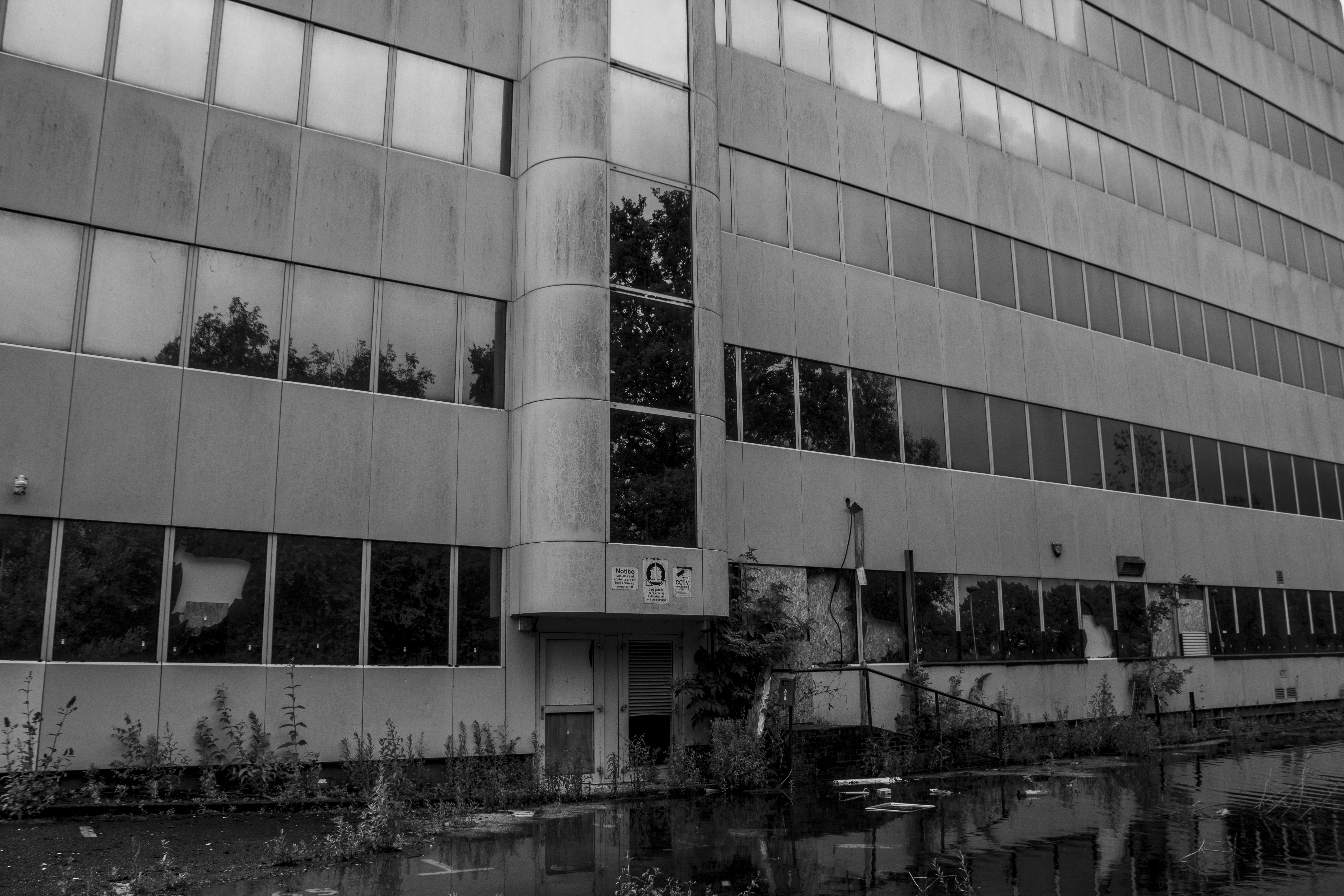 Shattered windows and overgrown ground floor of The Atrium