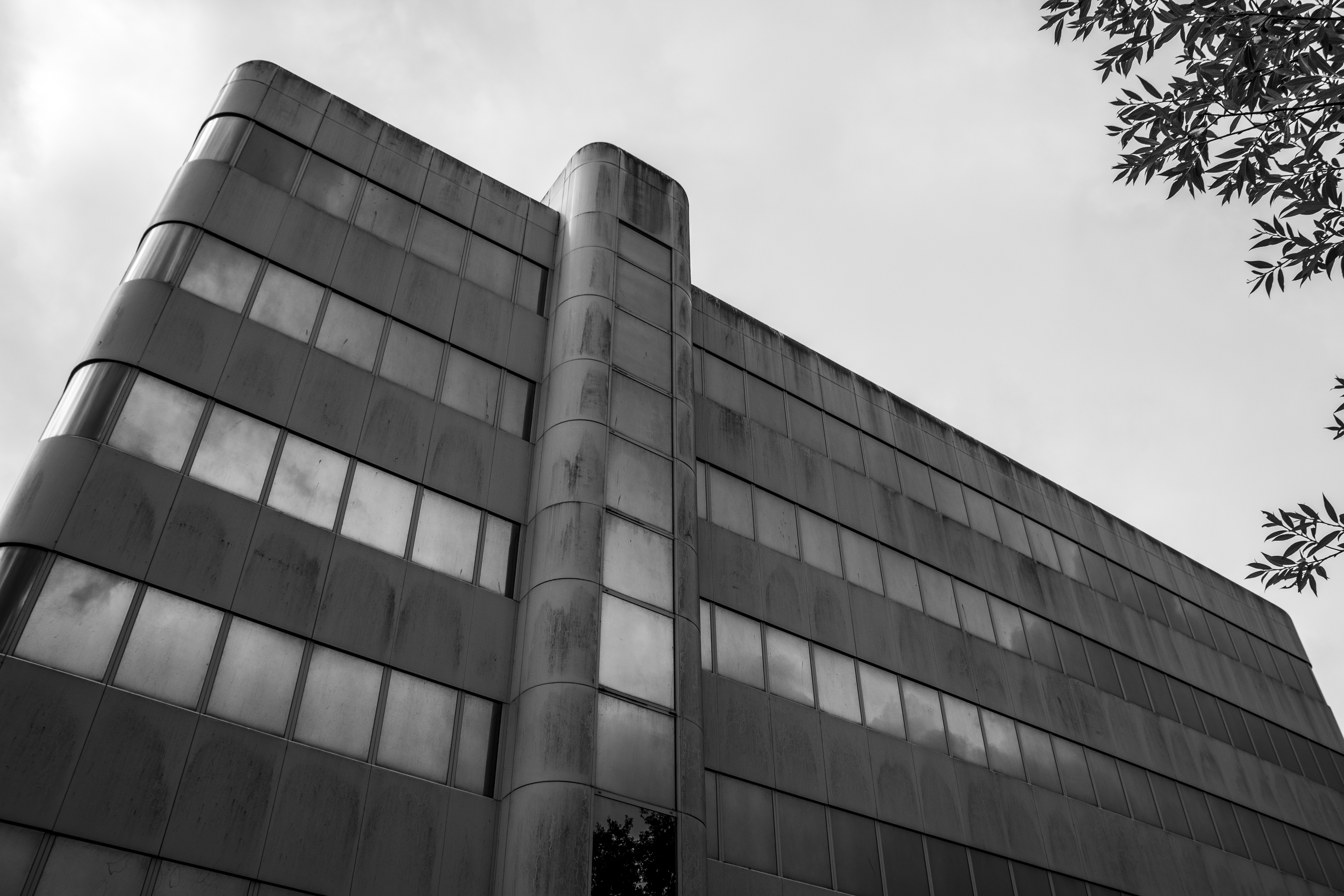 Towering architectural lines